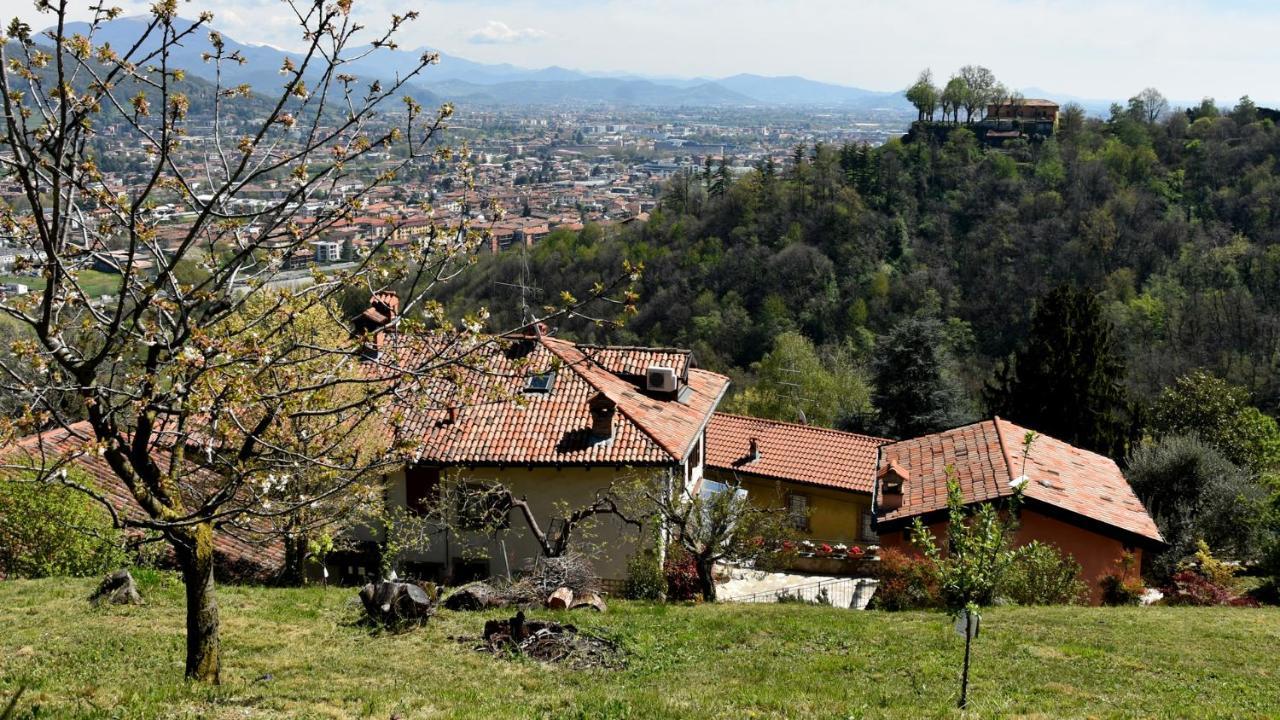 Апартаменты Il Giardino Di Berbech Citta Alta-Ulivo Бергамо Экстерьер фото