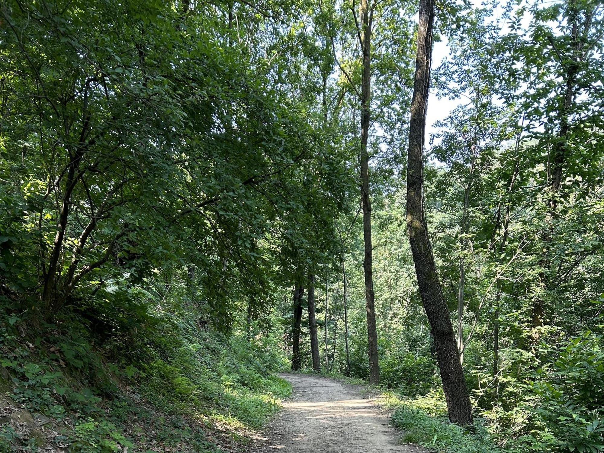Апартаменты Il Giardino Di Berbech Citta Alta-Ulivo Бергамо Экстерьер фото